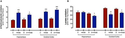 Cerebral Ketone Body Oxidation Is Facilitated by a High Fat Diet Enriched with Advanced Glycation End Products in Normal and Diabetic Rats